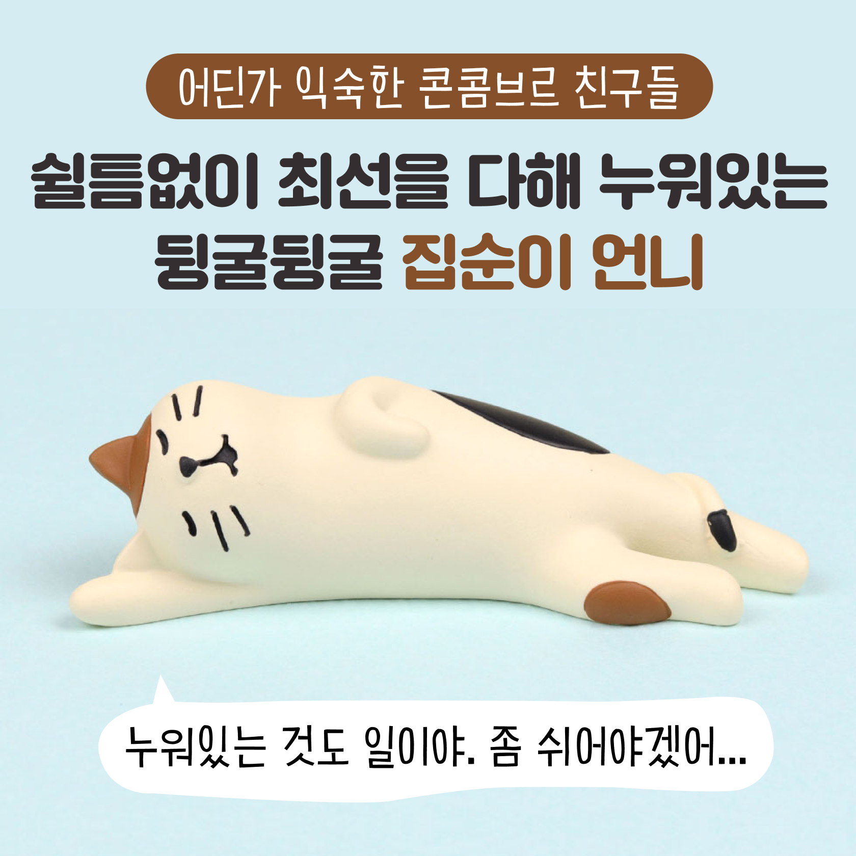 여기 닮은 꼴 하나쯤은 있겠지