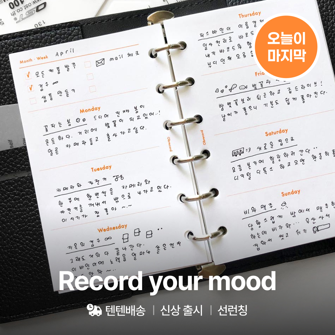 오브레코드 신상출시|~25%