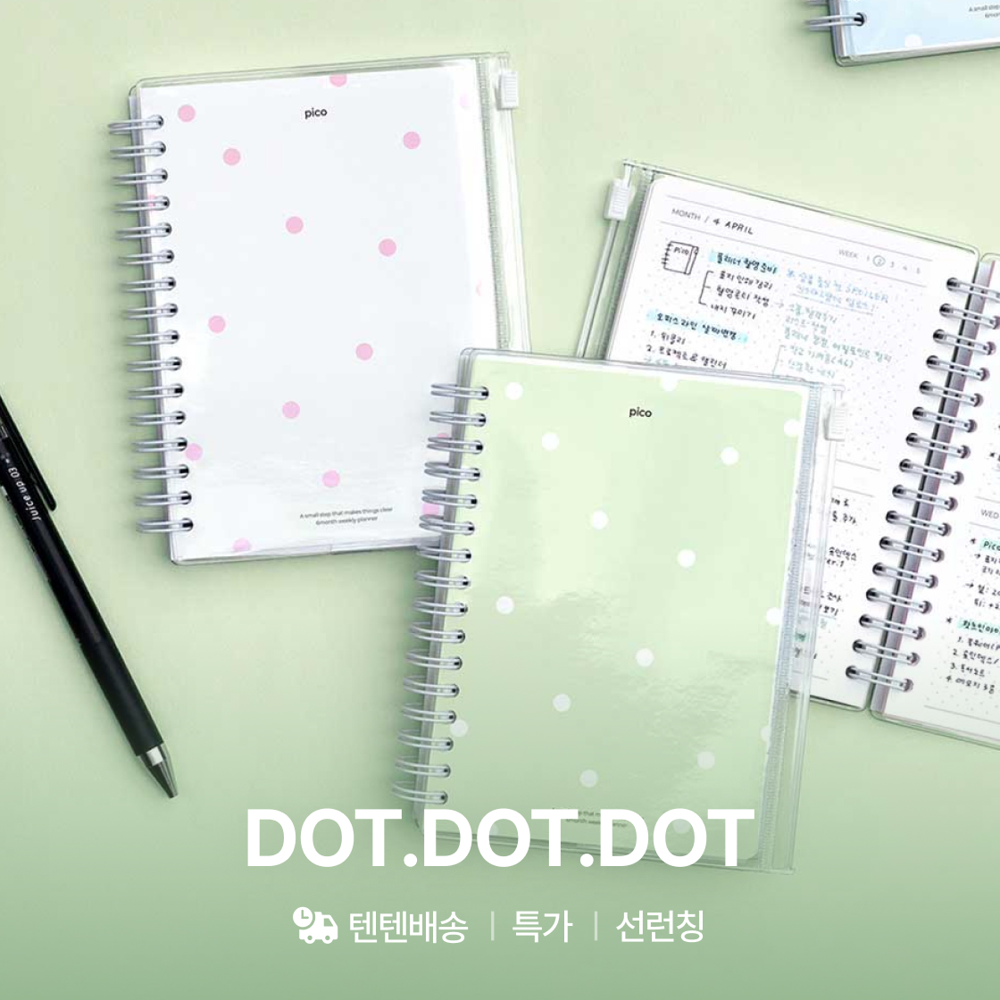 비온뒤 pico 플래너