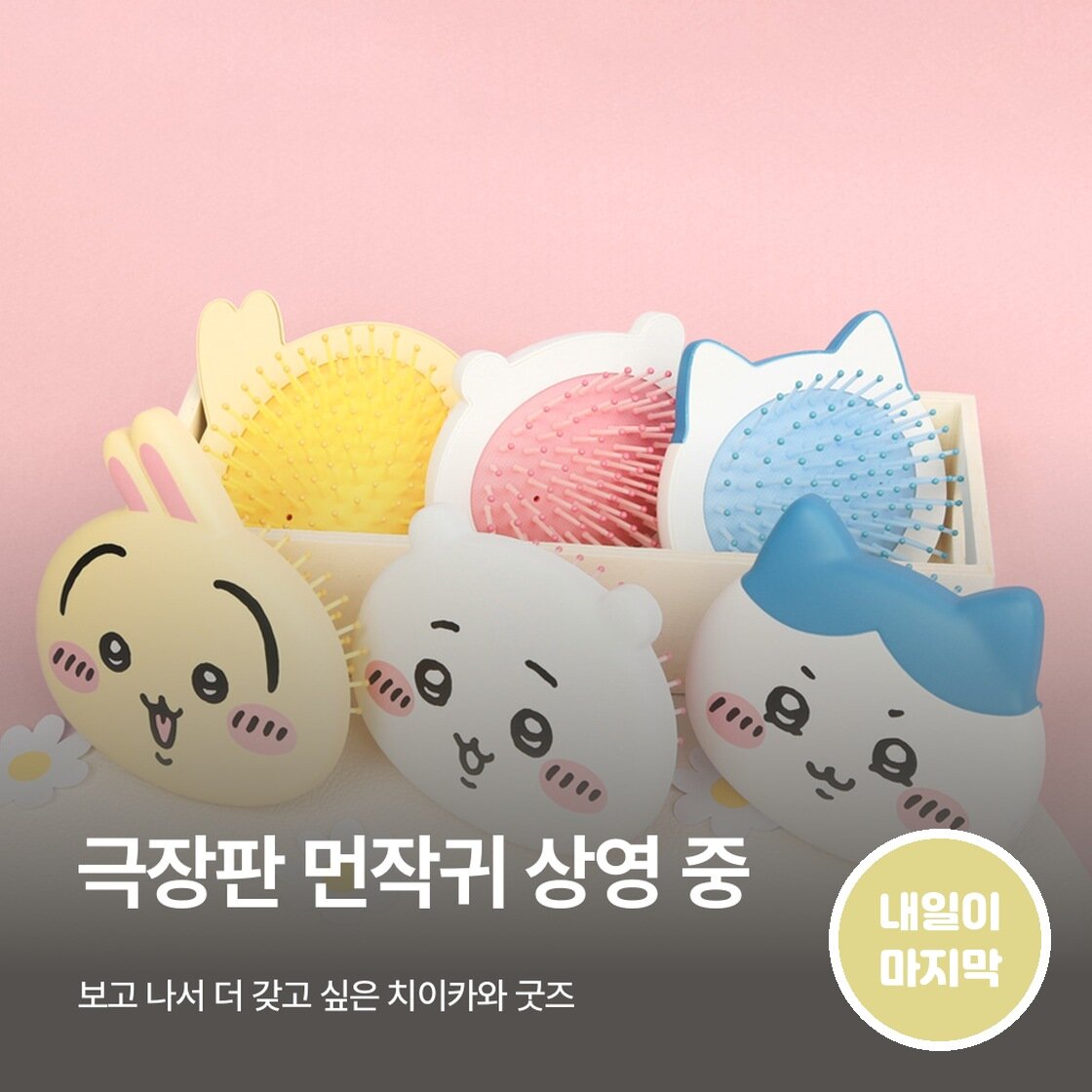 먼작귀 보러 가기 전에