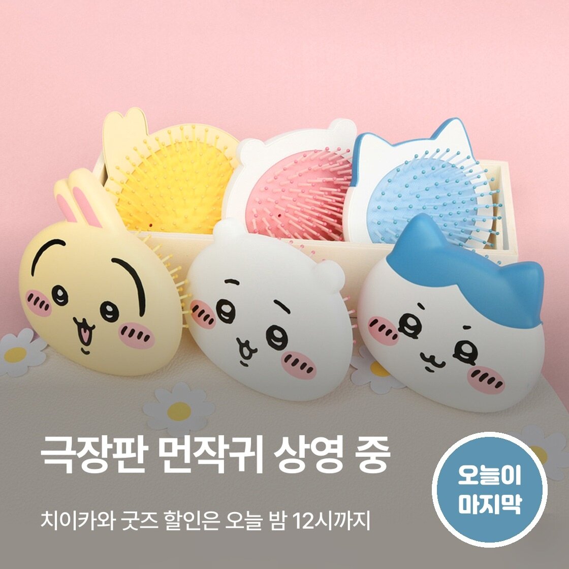 먼작귀 보러 가기 전에
