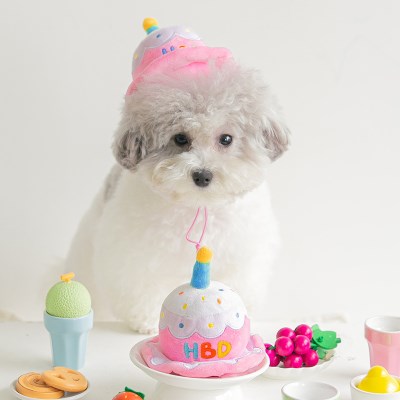 바잇미 강아지 파티케이크 모자 장난감 생일케이크