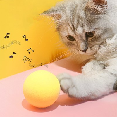 소리나는 캣닢 고양이장난감 마카롱 고양이공 양모볼