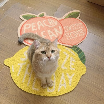 귀여운 사막화 방지 귀여운 고양이 현관 매트 코일 발매트 60x40cm