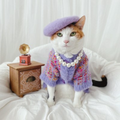 퍼플 트위드 니트 가디건 스웨터 강아지옷 고양이옷 겨울옷 MIYOPET
