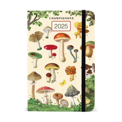 2025 카발리니다이어리 Mushrooms