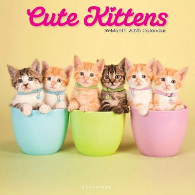 2025 벽걸이캘린더 Cute Kittens