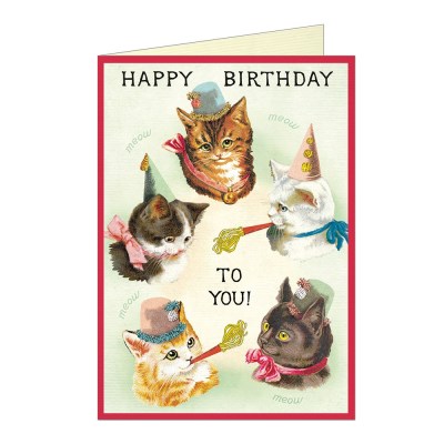 카발리니 생일카드 - Cat Party