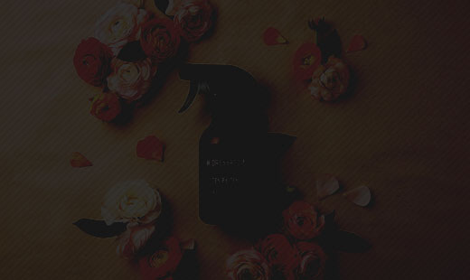 드레스&룸 퍼퓸 스프레이 with W.DRESSROOM