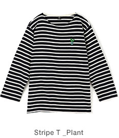 STRIPE T Plant