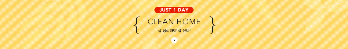 JUST 1 DAY - CLEAN HOME