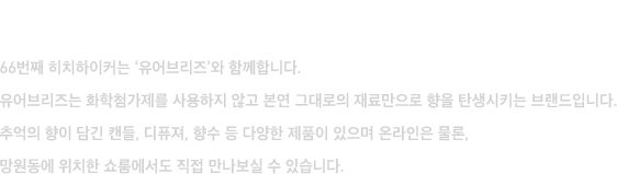 HITCHHIKER X YOURBREEZE