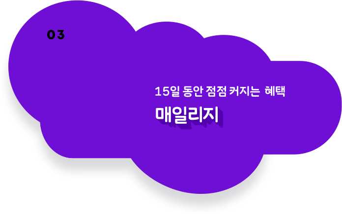 매일리지