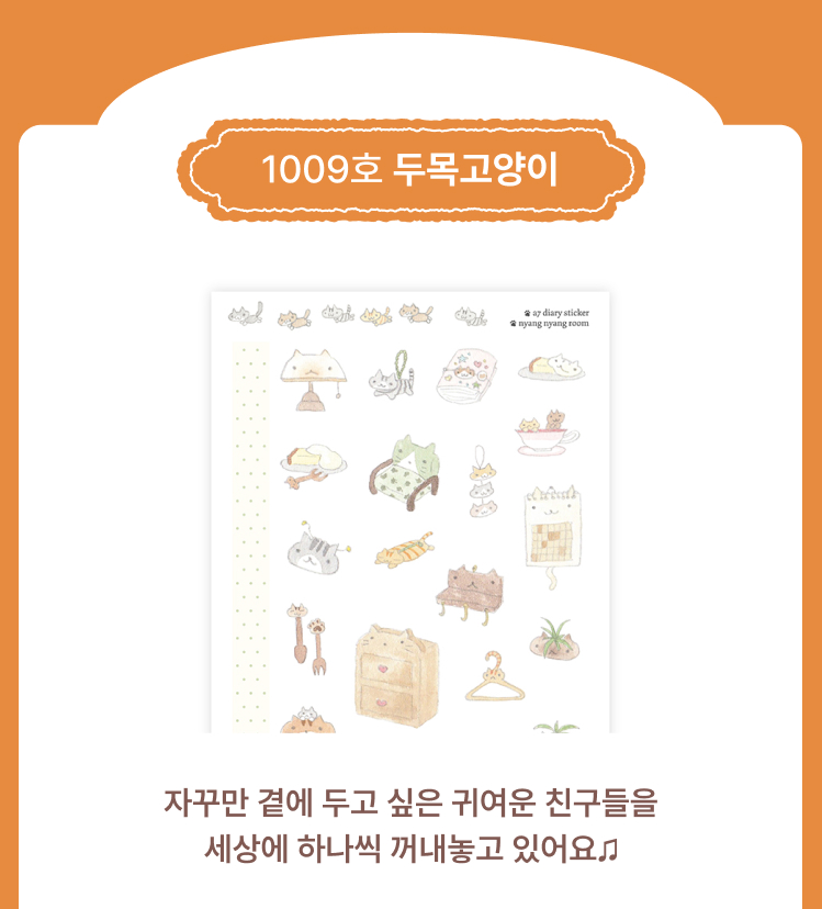 두목고양이 메인상품