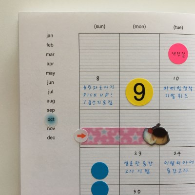 schedule diary (pvc cover포함)