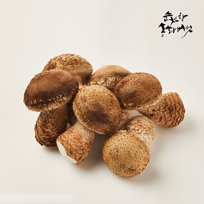 [남도장터]송화버섯 선물세트 고급형 1kg