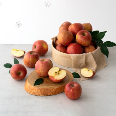 [남도장터]바른팜 사과 선물세트 1호 5kg (11-12과) 보자기+노리개포