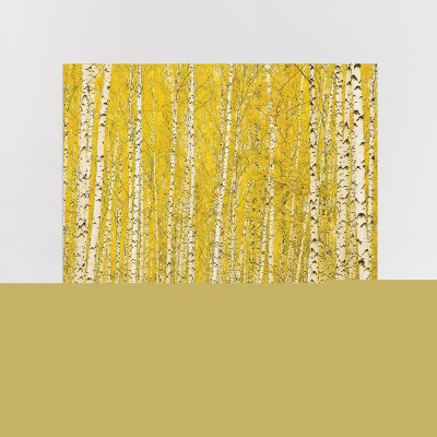 풍경그림 액자 패브릭포스터 90x73 황금자작나무숲