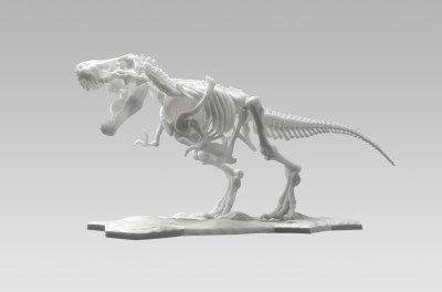 공룡 모델키트 라이맥스 스켈레톤 티라노사우루스