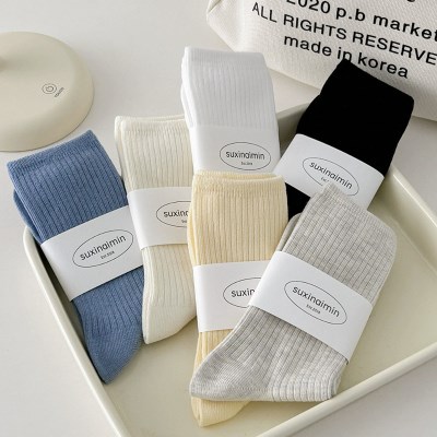 키카스 파스텔 무지 기본 골지 중목 양말 6color