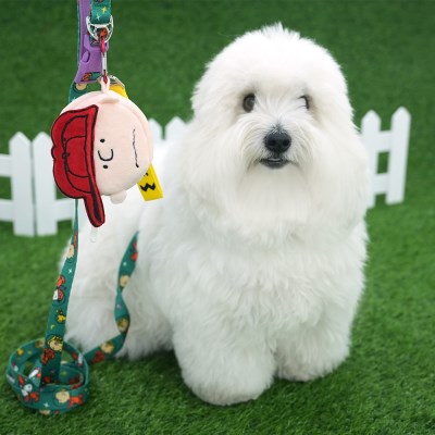[Peanuts] 피너츠 스페셜 풉백 파우치