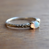 opal.591