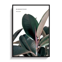 RUBBER TREE 보타니컬 인테리어 포스터,액자