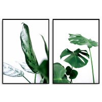 보타니컬 몬스테라 포스터 식물액자 세트