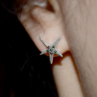 asterie