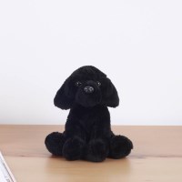 Black Labrador - 블랙 래브라도