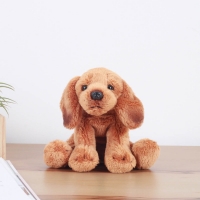 Dachshund - 닥스훈트