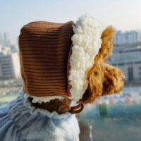 강아지 군밤모자