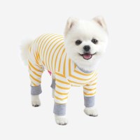 패리스독 강아지옷 스트라입 올인원_(1013919)
