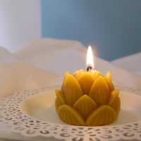 [Honey Bees Candle] 연꽃 밀랍초