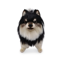 8043 블랙탄 포메라니안 강아지인형/27cm.H