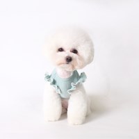[T.스프링 프릴티셔츠]Spring frill T_Mint