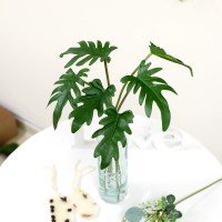 그린테리어 조화가지 트로피칼 셀렘 잎 6P 세트