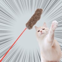 고양이 장난감 막대형 오뎅꼬치 스틱