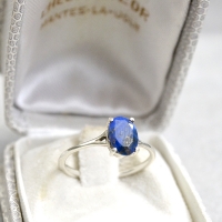 blair.lapislazuli