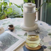 단미 유리전기포트 분유포트 DA-KET01_(1395601)