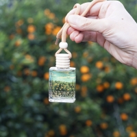 제주한라봉 차량용디퓨저