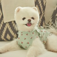 체리 프릴 강아지 실내복 (민트)