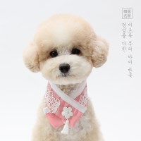 수선화 한복 케이프 (분홍)