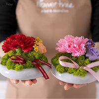 카네이션 조화 화분 영원한사랑set 12cm 4컬러 꽃 어버이날