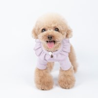 [펫츠랜드] 로사 프릴 티셔츠 강아지옷 티셔츠 애견의류