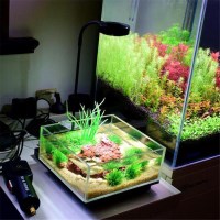 소형 어항 미니 수족관 LED 램프 조명 수조등 수초등 J