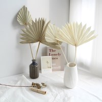 팜리프 팜트리 팜스페이드  - 드라이플라워 프리저브드플라워