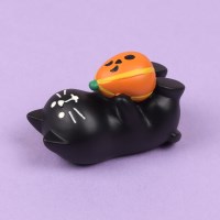 concombre 호박킥 고양이