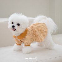 Classy check ops (Mustard)