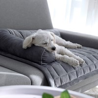 돈무브 강아지 방석 애견 고양이 반려동물 방석